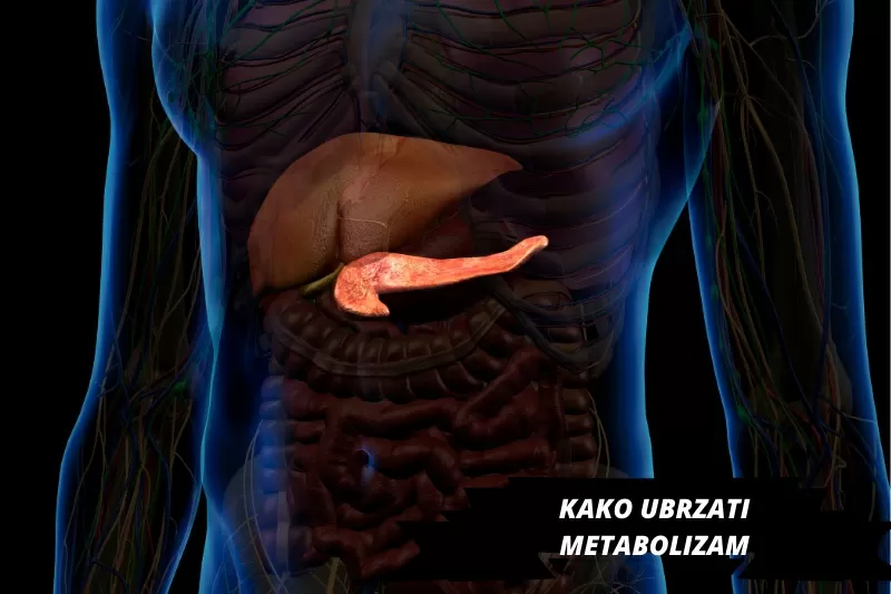 kako ubrzati metabolizam